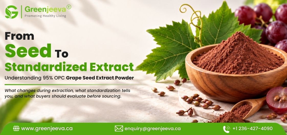 From Grape Seed to Standardized Extract: Understanding 95% OPC Grape Seed Extract Powder